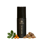 Opal & Oak - Perfume Oil - Verdant Amber